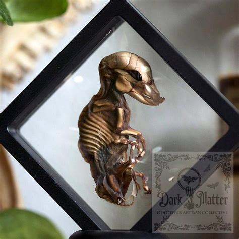 Gorgeous & ready for the first weekend of Mardi gras We just restocked this mourning, and have so much to show you. . Dark matter oddities artisan collective